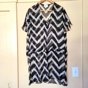 Silk dainty Milly Black and White Sheer Dress